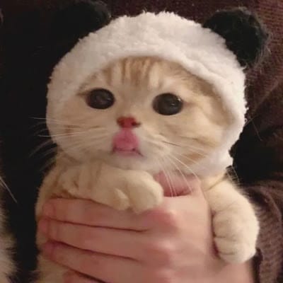 Dewi Lestari avatar